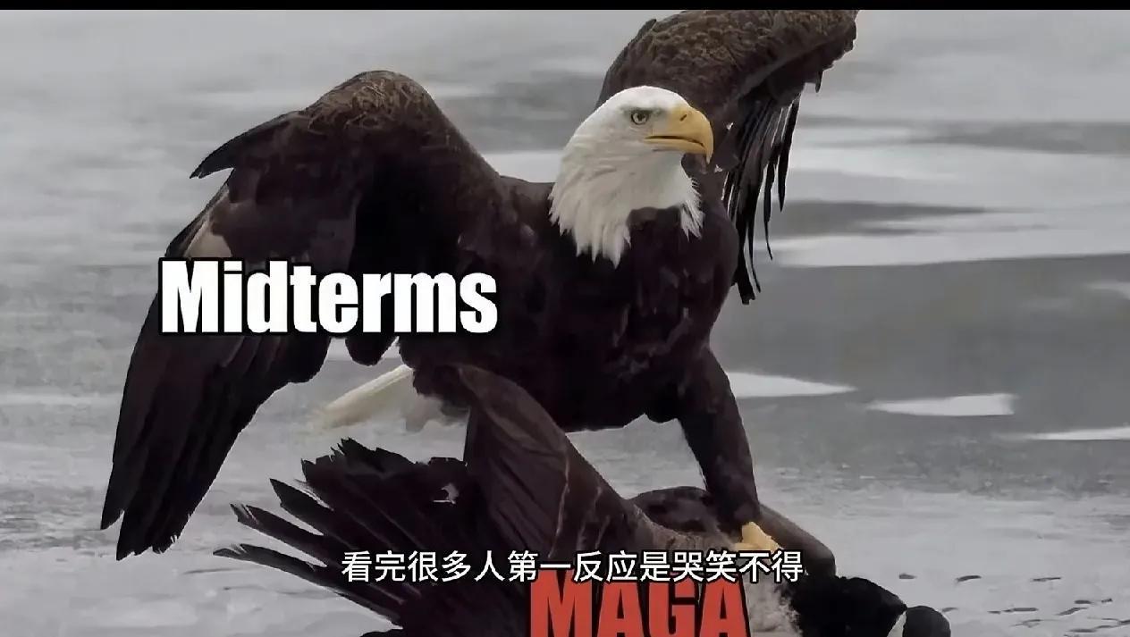 美国又揪住加拿大不放了，两国关系紧张了

在人们的印象中，加拿大是五眼联盟成员之
