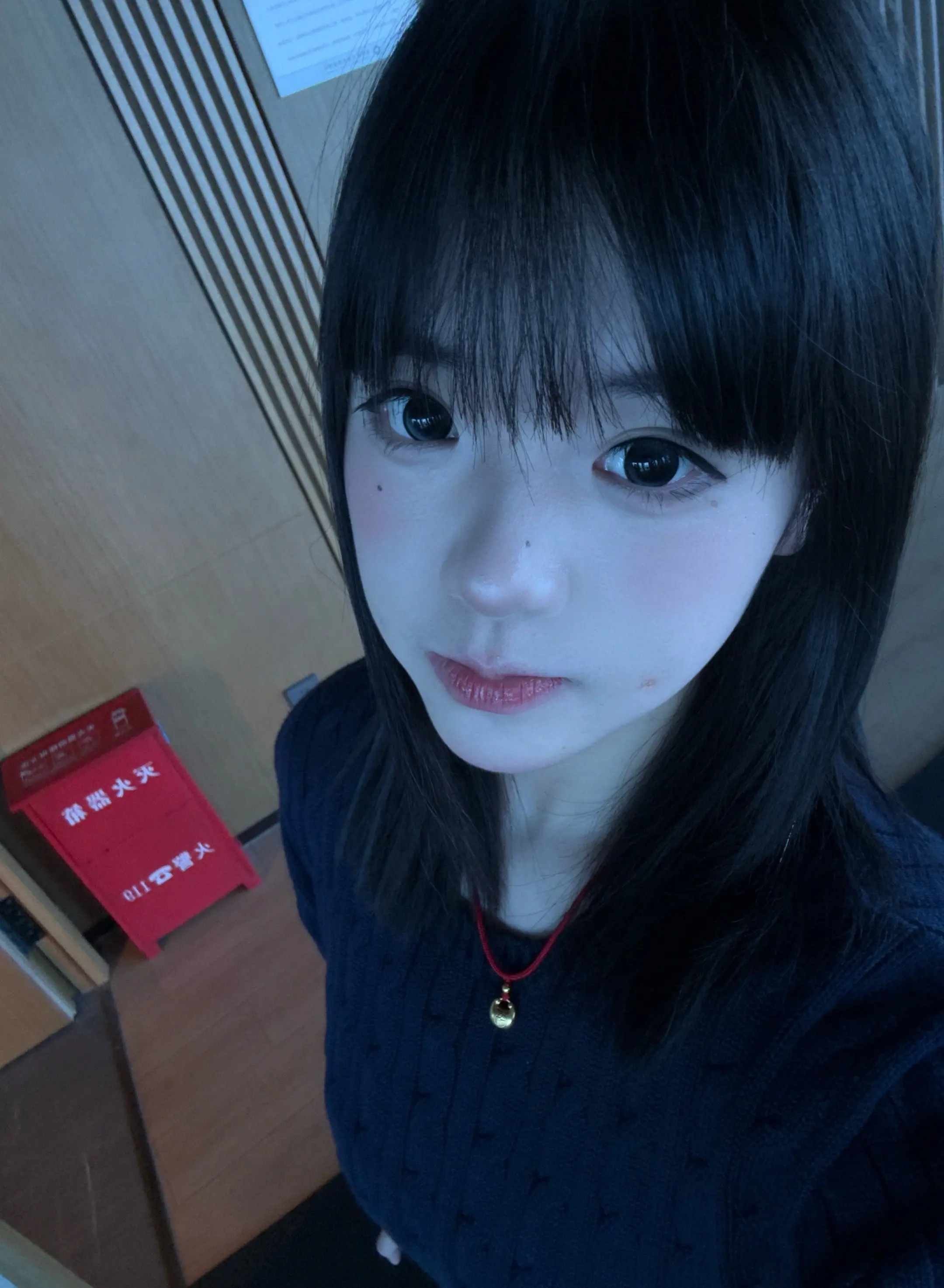 ૮₍  ˶•⤙•˶ ₎ა