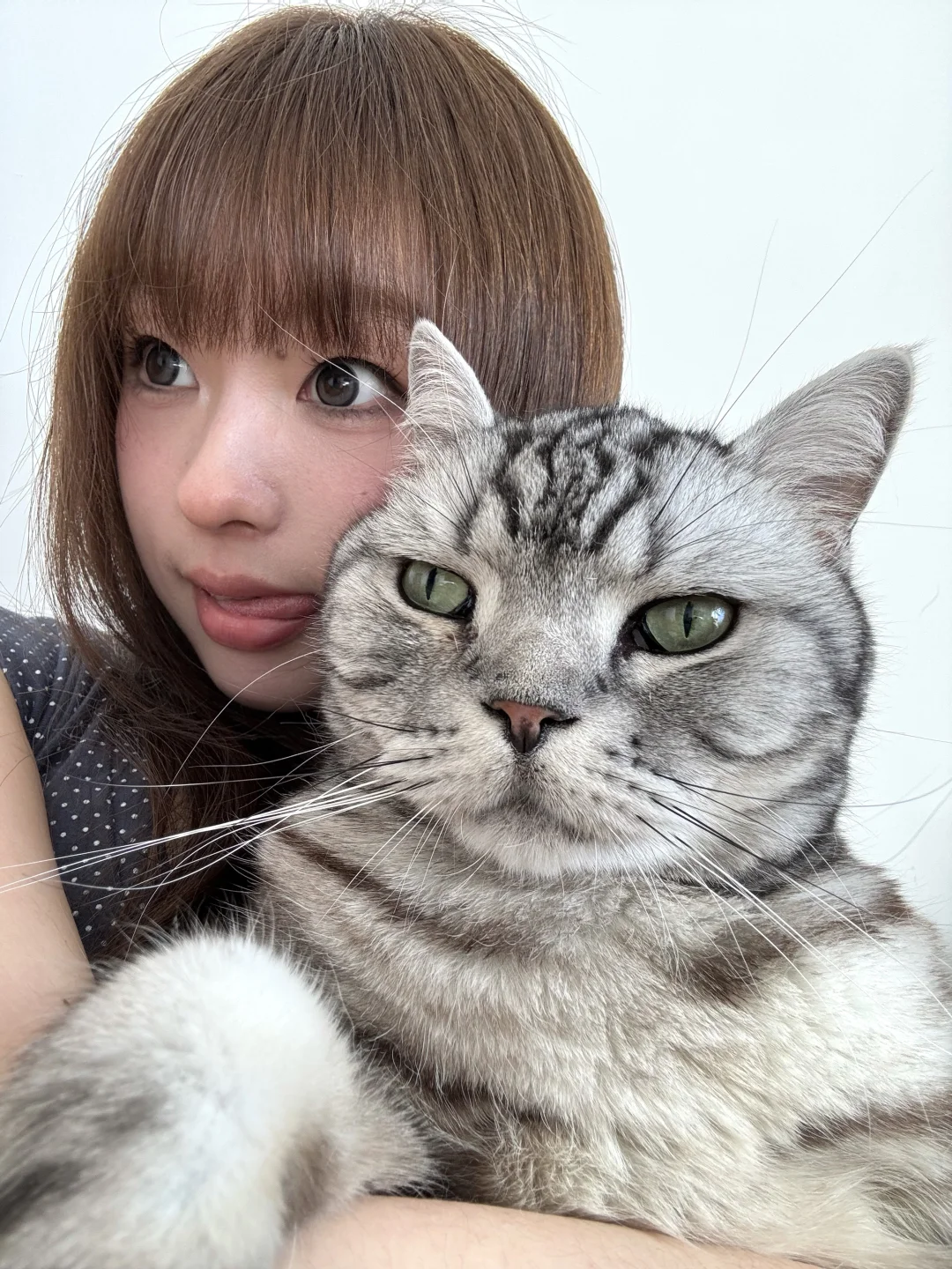 幸好生活有小猫‧ ₊˚🐈💬