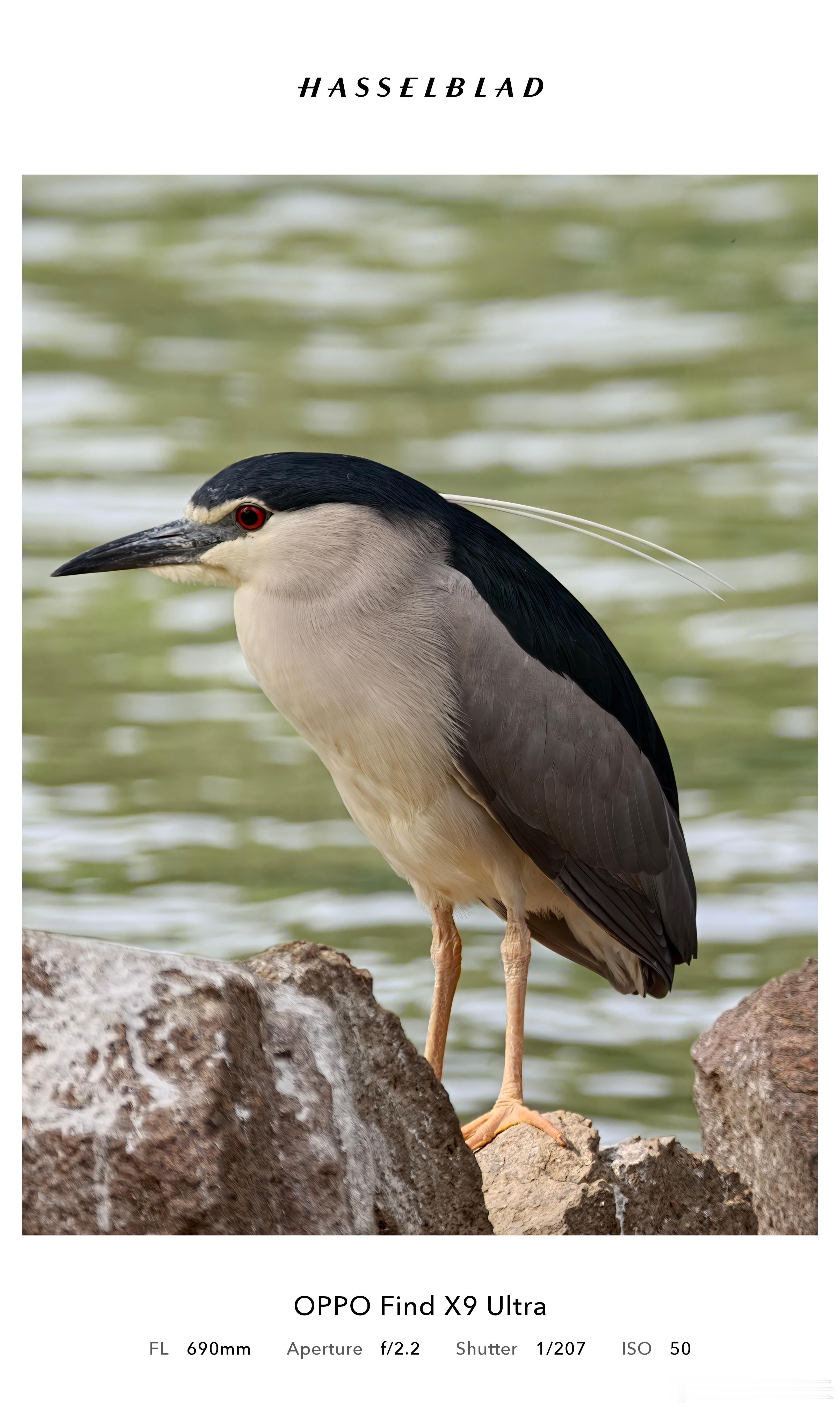 当然，你说增距镜是不是就没用了？并不是。如果你有足够的时间，或者提前准备，增距镜
