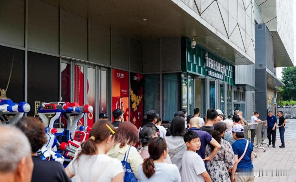 京东七鲜入晋，重新定义“新鲜”
你是不是也这样，走进超市，看着货架上琳琅满目的蔬