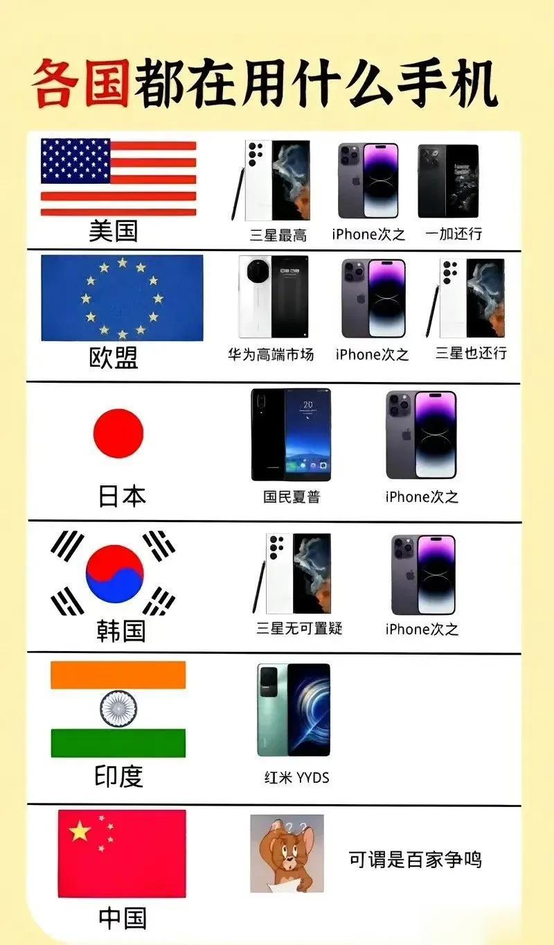 各国都在用什么手机？ ​[灵光一闪]