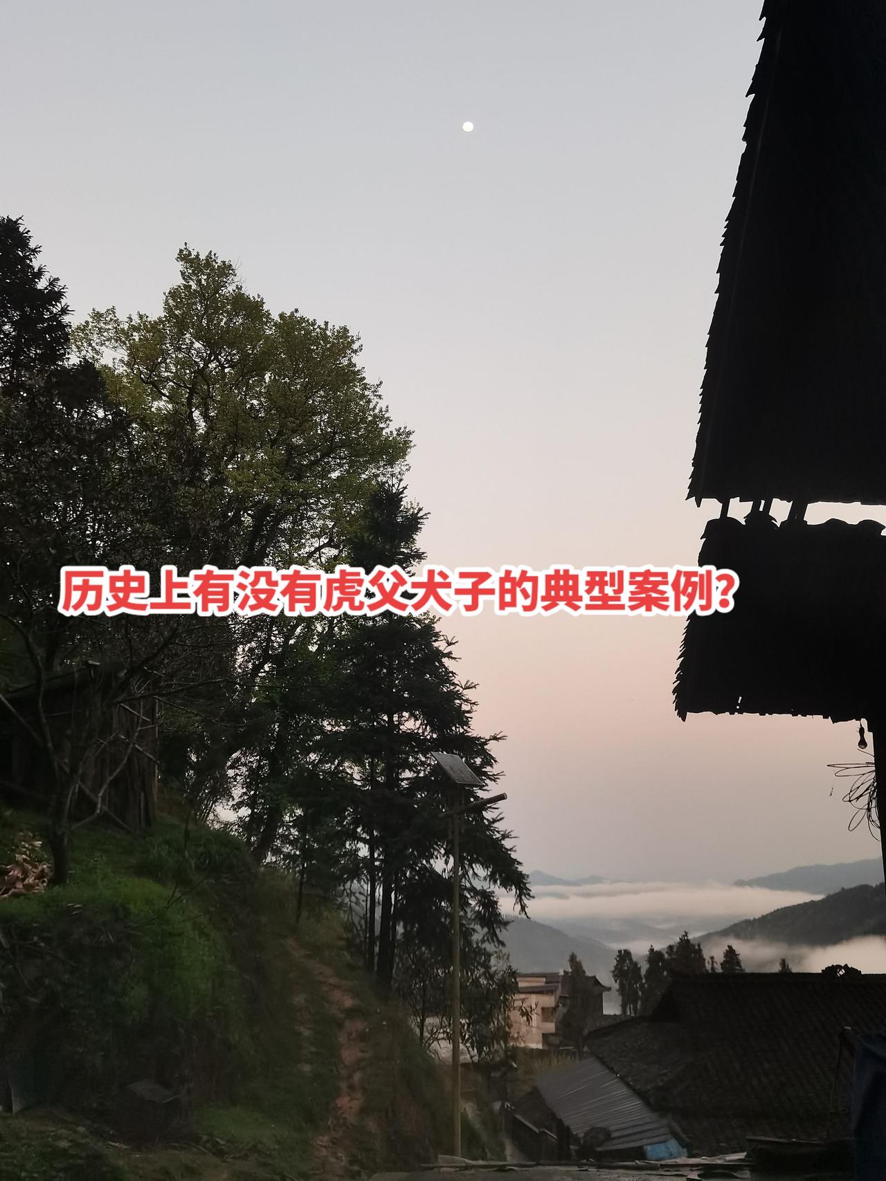 历史上有没有虎父犬子的典型案例？赵奢与赵括
赵奢：战国时期赵国名将，以阏与之战大