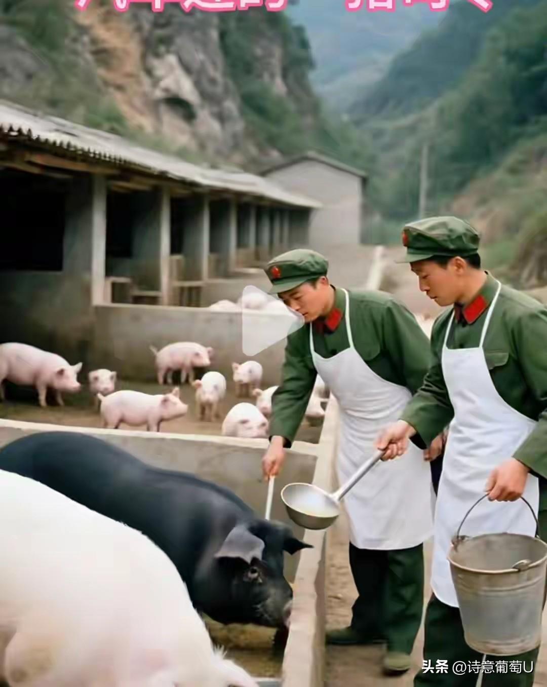 部队喂猪老兵退伍后带富村子的故事
 一、退伍返乡，初心不变
李刚是一位从部队退伍