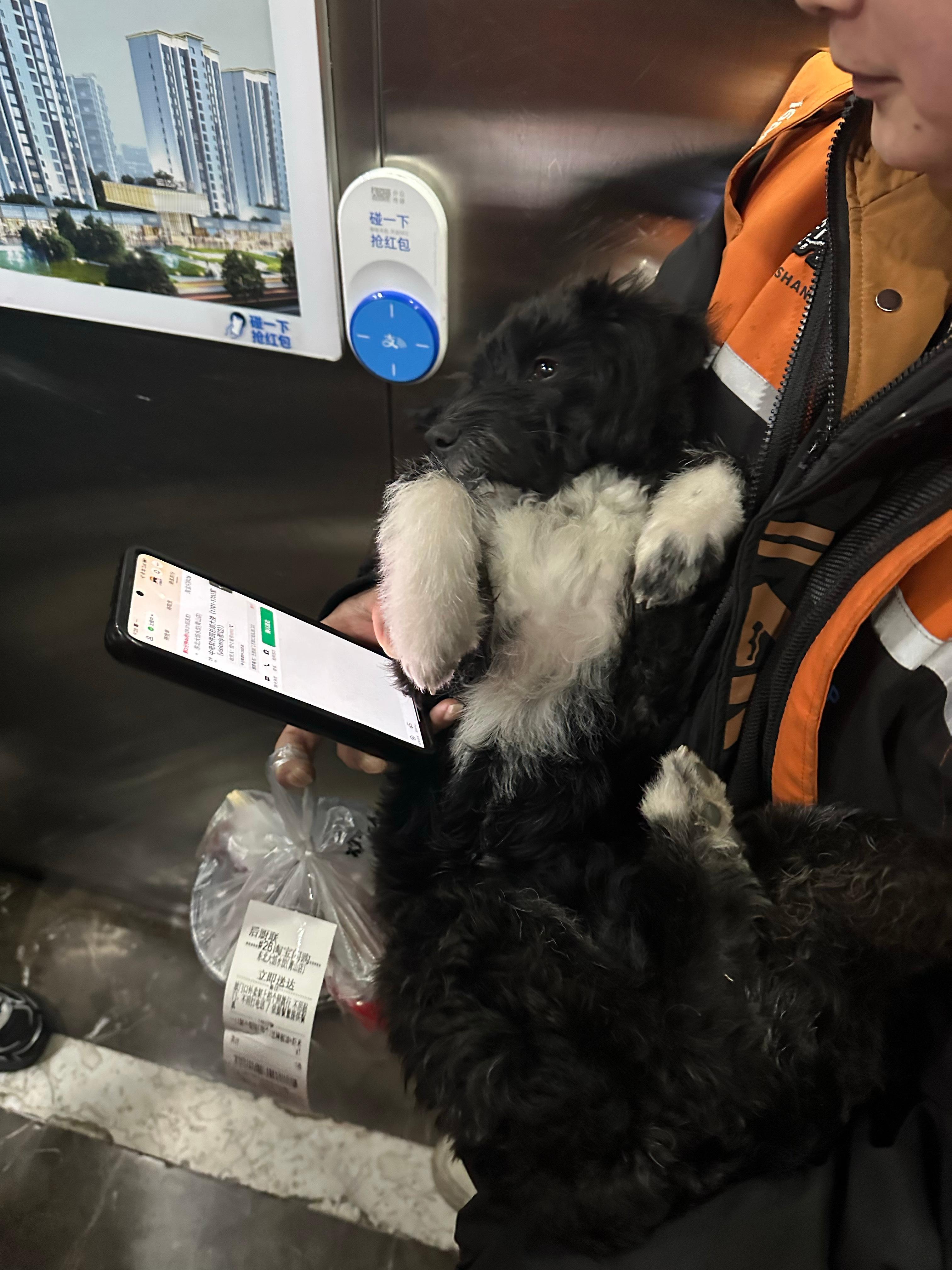 来拜访客户，碰到个带狗子送外卖的迈凯轮车手。 长沙·国家网络安全产业园区长沙