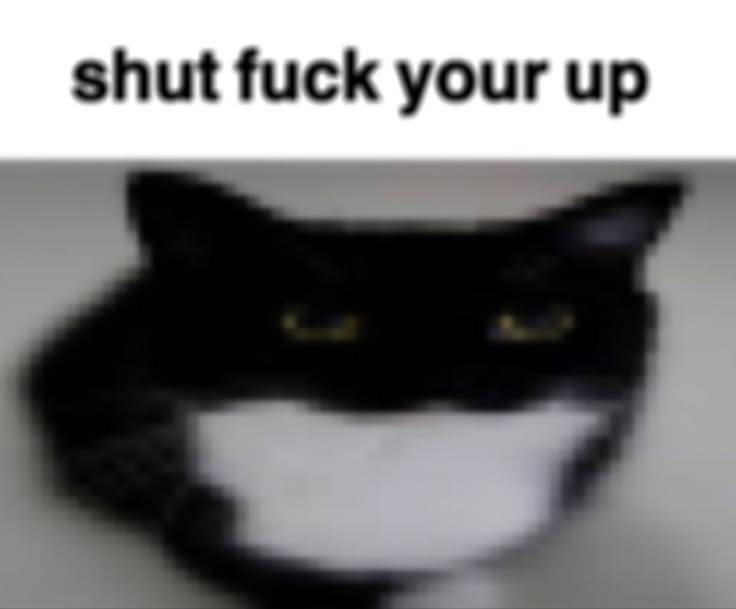 idgaf ​​​