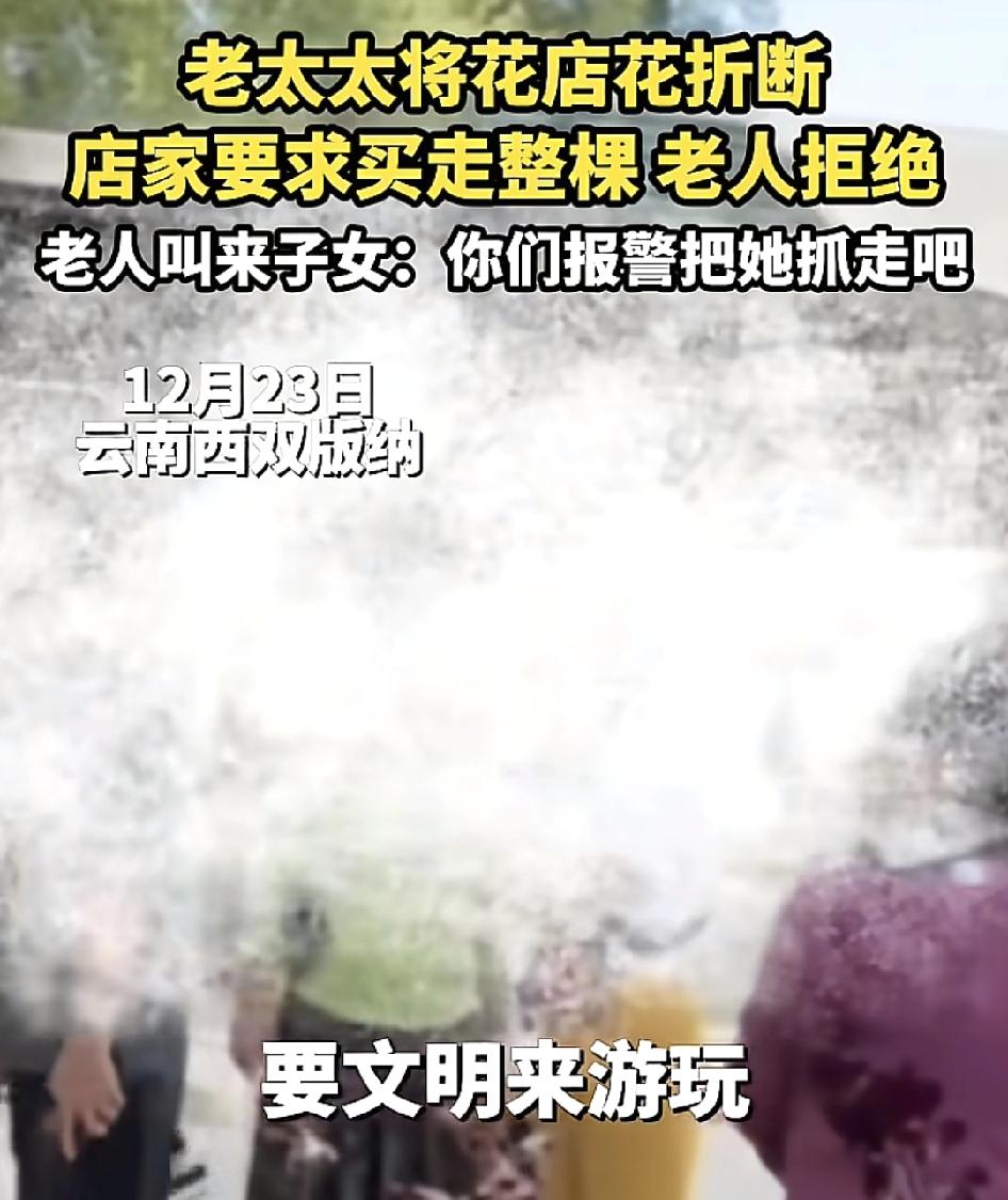 西双版纳一位老人在花店折断了花枝，商家要求把整个卖走，一共是80块老人就找各种各