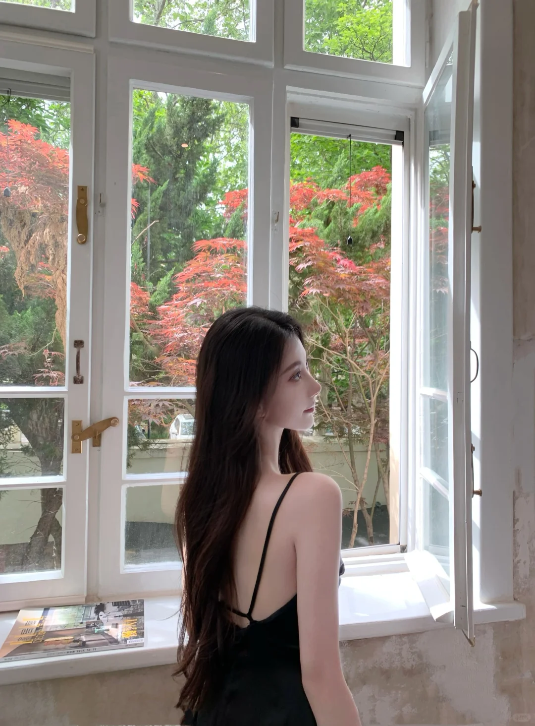 是最爱的夏天
