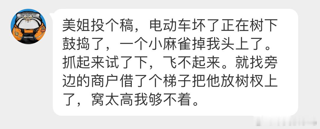 #鸟粉投稿# 掉小天才头上的【麻雀】宝宝正在学飞，还不太熟练～ ​​​