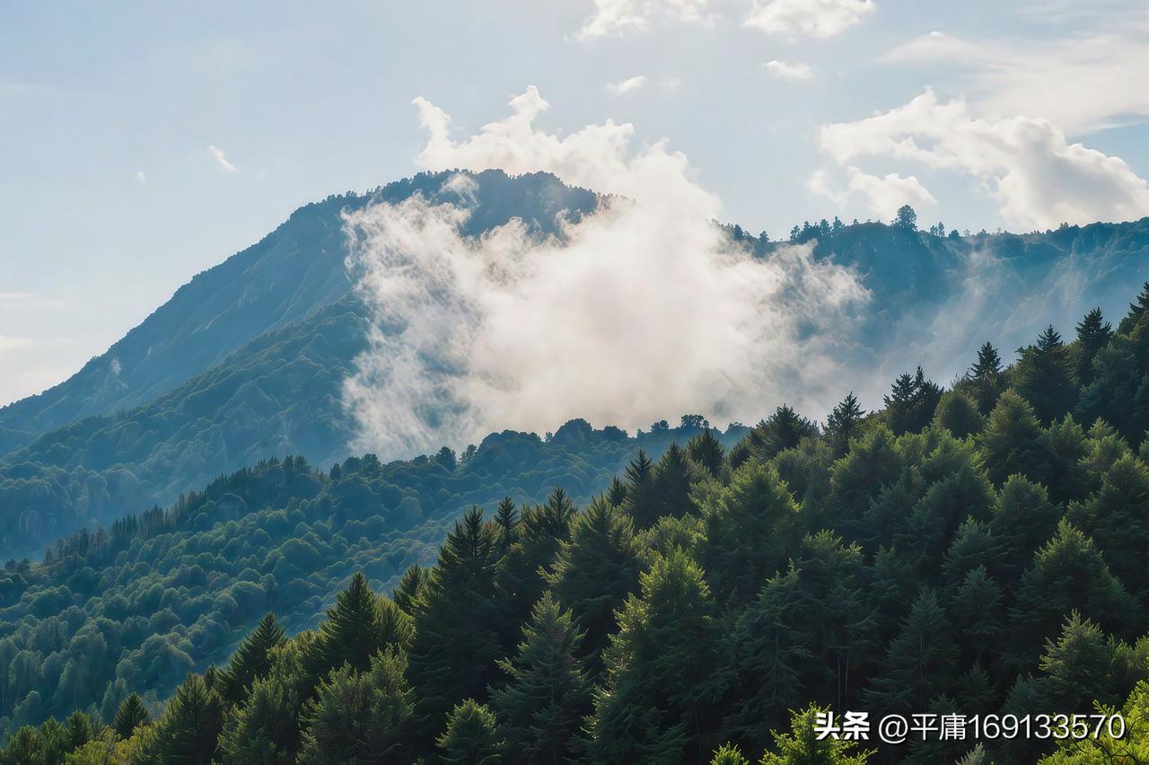上周特意赶早去崀山八角寨碰运气，没想到真撞见了云海翻涌的场面。
刚爬到半山腰就被