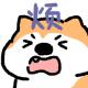 斯年共谈美食