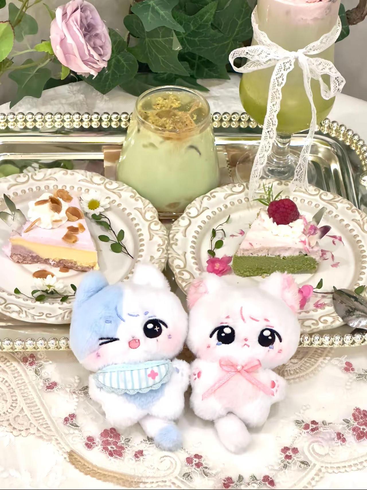 喵(ฅ>ω<*ฅ) 想浩叽咪和浩糯咪了迈~严浩翔 棉花娃娃 小猫咪