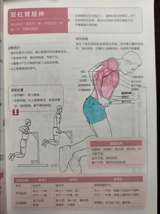 双杠臂屈伸，加强手臂力量和核心肌群稳定