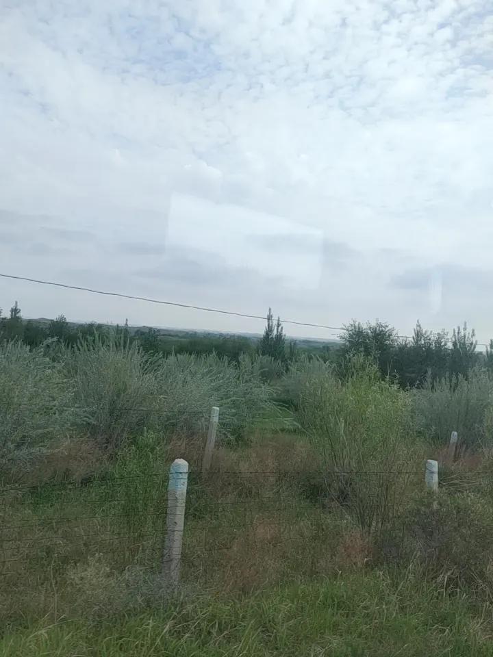 沙漠变良田的治沙成果让你震撼吗非常震撼，现在就在大沙漠