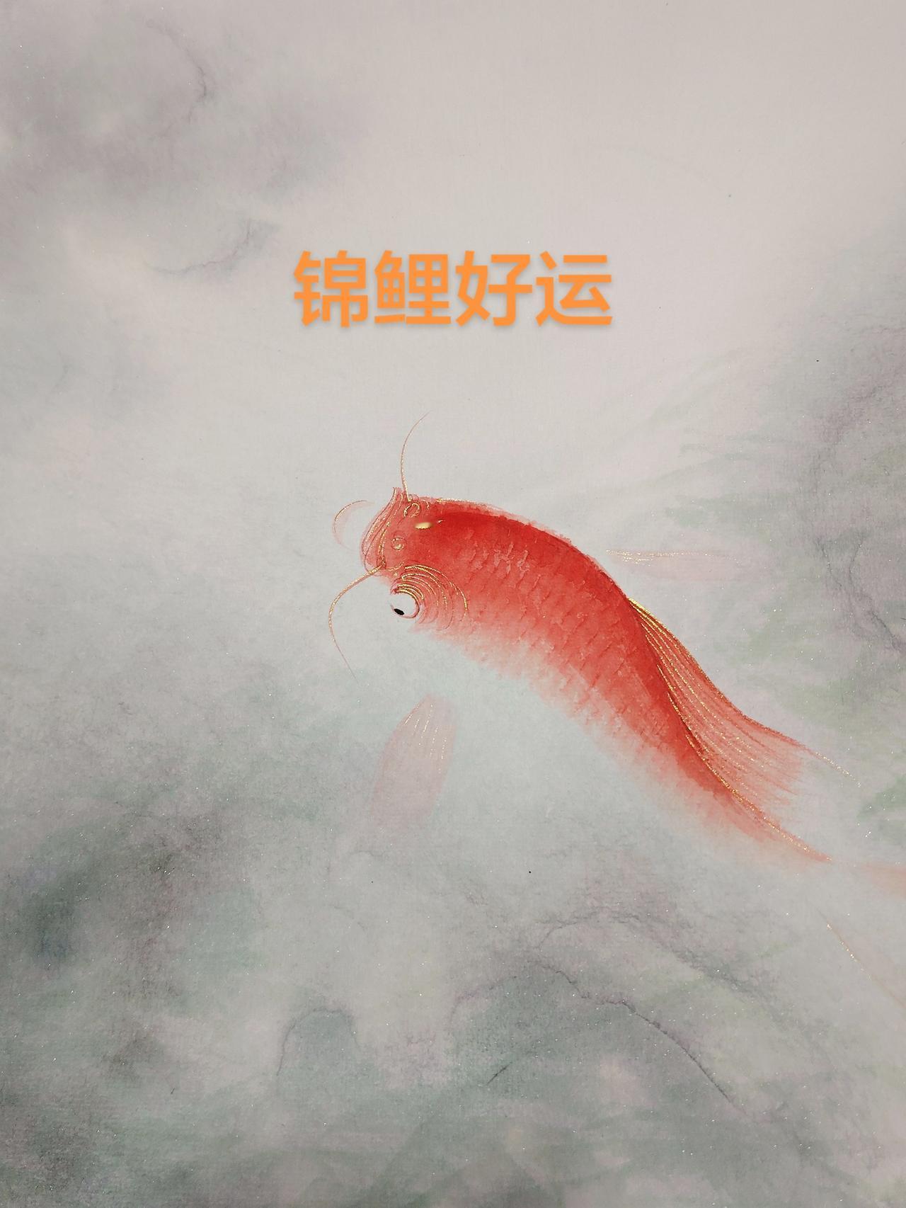 锦鲤好运（逢考必过）