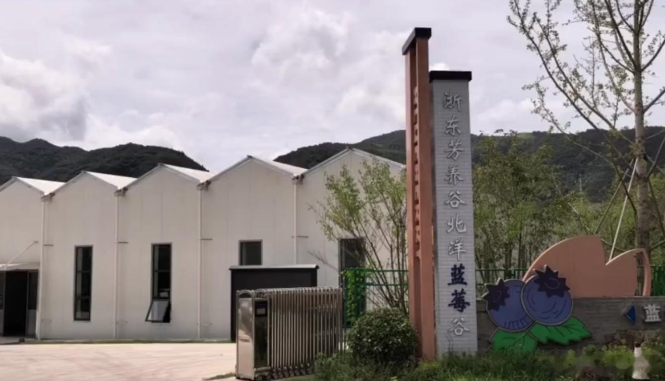 智慧农业搭台台州以科技链串起共富链盛夏时节，黄岩北洋镇浙东芳养谷北洋蓝莓谷项目加