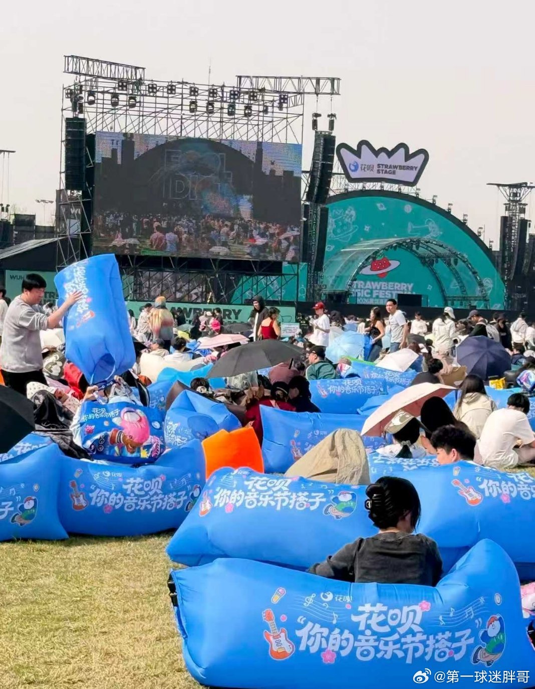漫天飘落的樱花雨下，情侣单膝跪地求婚，而这一切浪漫场景竟是音乐节主办方精心设计的