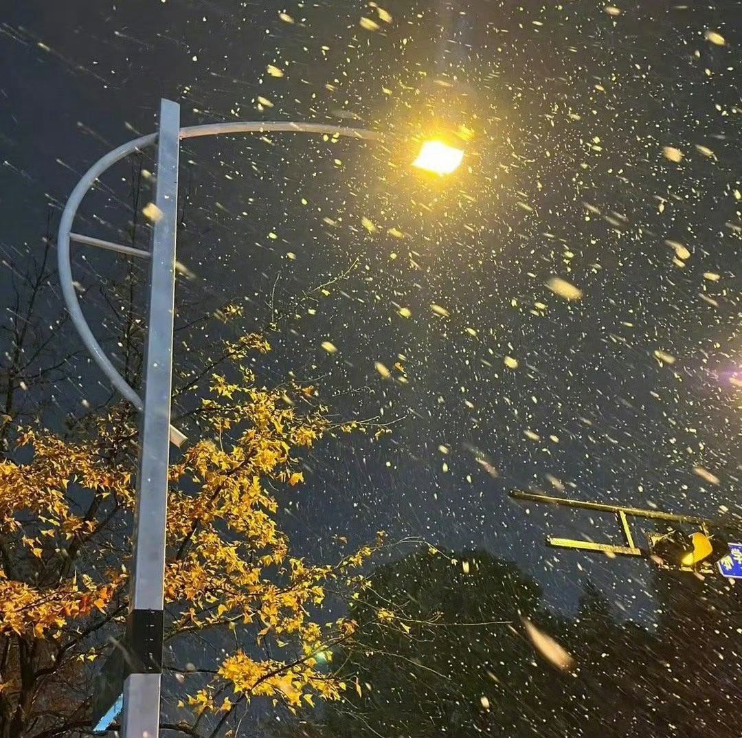 "我干净且坦诚的爱意已经开过花了，错的时候也是连根拔起的，至于以后如何栽种我不想