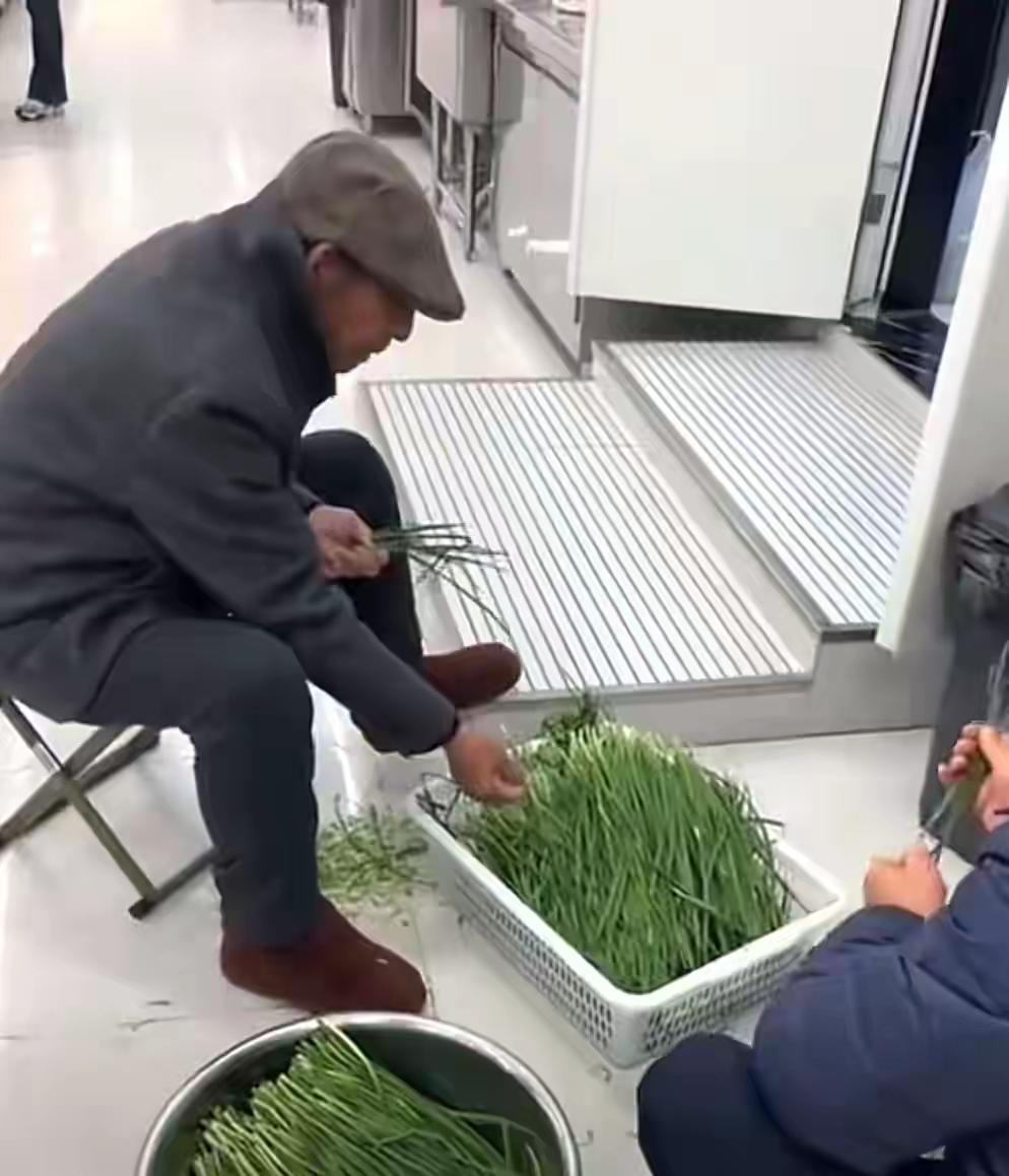 刘强东父母又被员工“偶遇”了！在京东食堂，老太太麻利地煮着饺子，老爷子在一旁摘韭