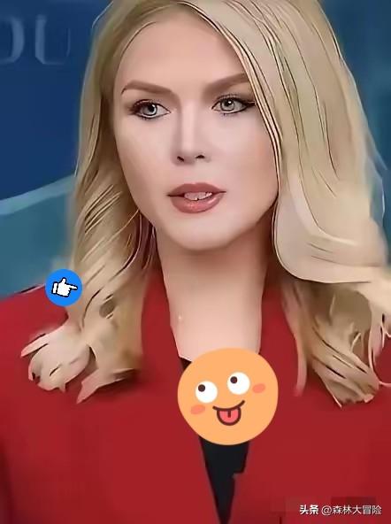 美国白宫宣布
2026年3月31日，美国白宫新闻秘书莱维特宣布了一个重要消息，她