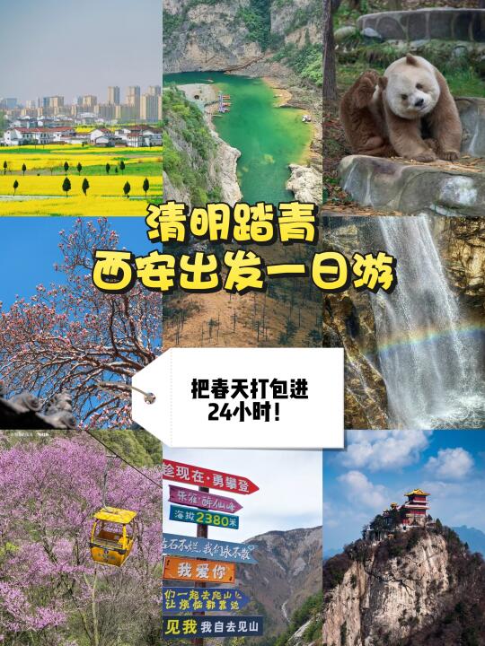 🌿清明一日游｜西安出发！7条🔥路线