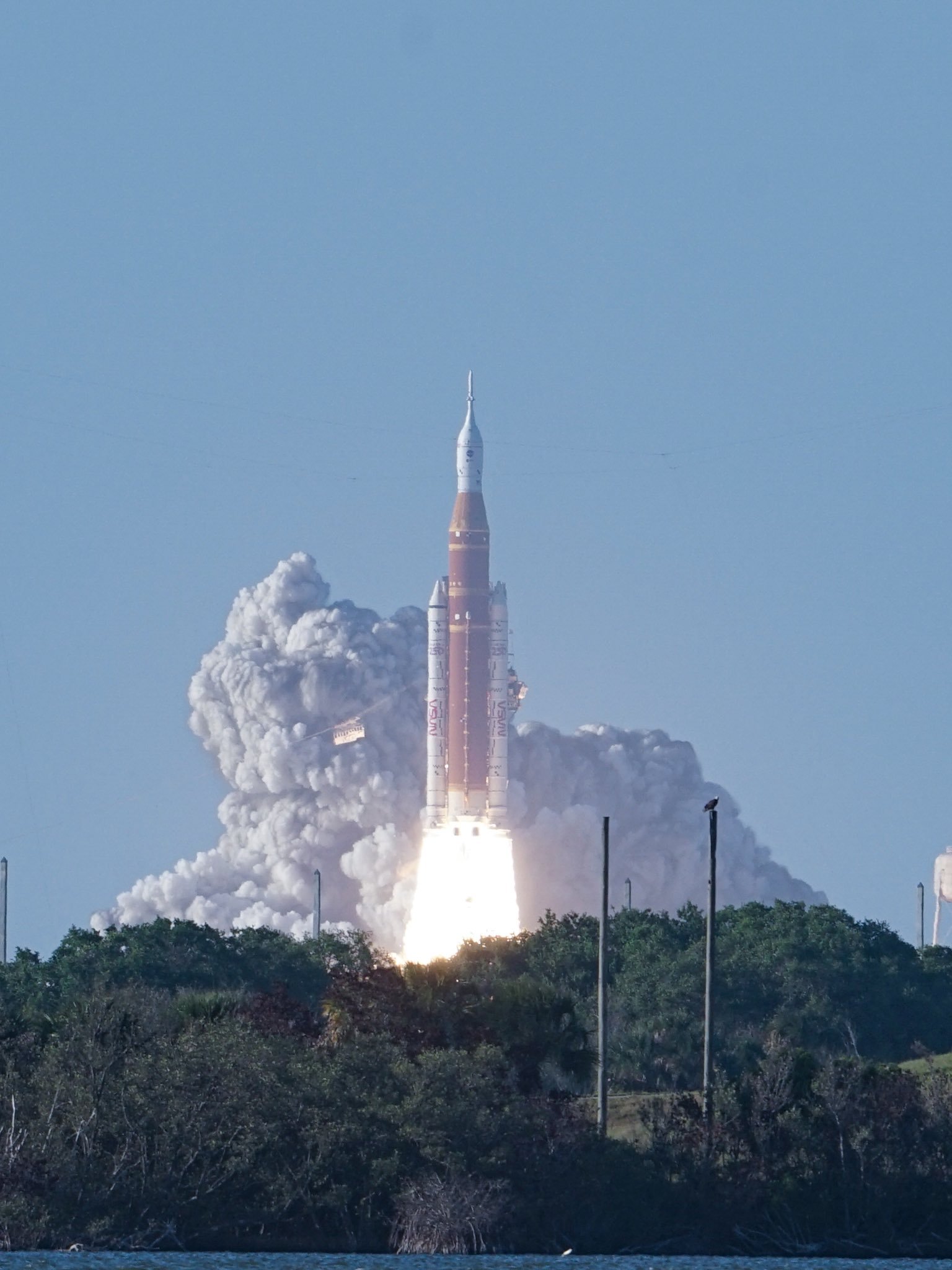 飞扬军事 一只美国国鸟白头鹰在远处观看阿尔忒弥斯2号火箭升空 