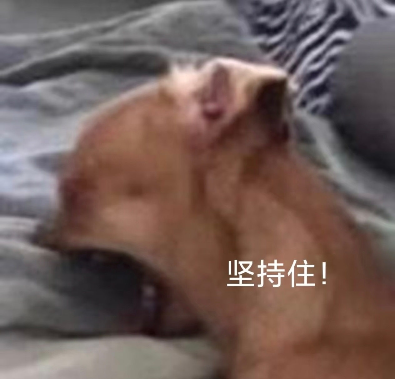 这个点 真饿