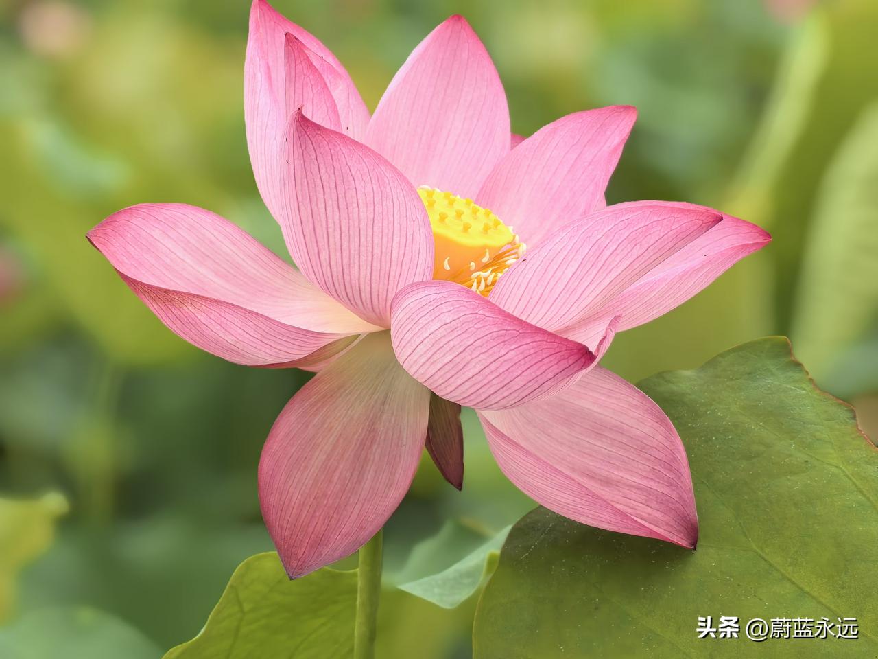 好邻居
邻居家空调外机的水管没安装好，水滴嘀嗒嘀嗒直往下掉，掉落在我来空调上，晚