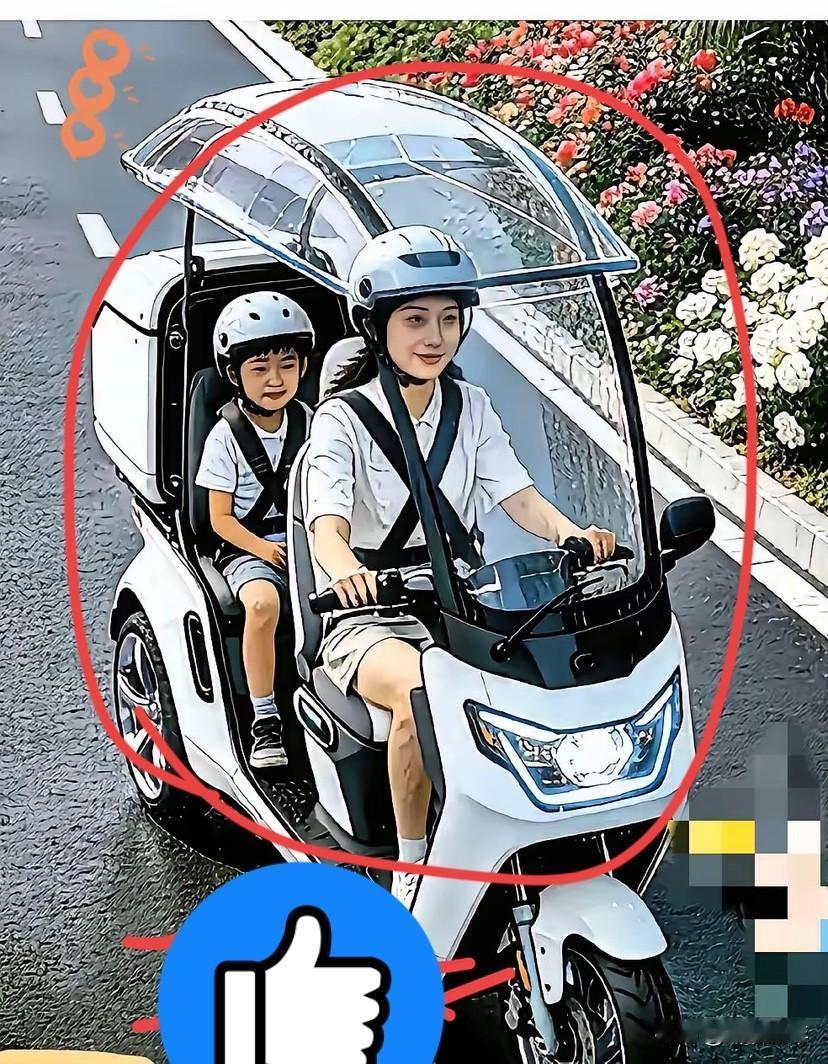 这才是人民需要的新国标！

如果生产这样带遮篷的电动车，冬天家长接孩子时方便，风