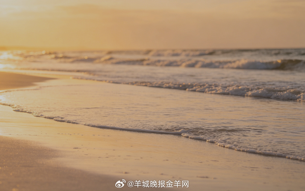 #早安# 朝阳晕开一层柔和金芒，浅浅海水漫过洁白滩涂，赤脚慢行在海岸边。海风轻柔