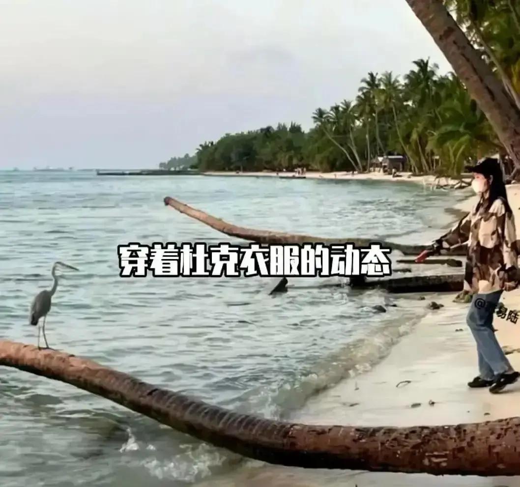 杜克拍亲哥吵架视频，7天涨粉50万，转手把号卖了82万，一条广告报价28万。
网