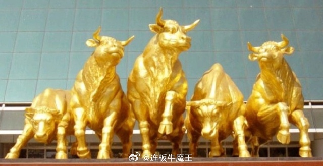 所有人周三大家早上好各位新老股友们周三早上好，新的一天，美好的一天从早晨开始。五