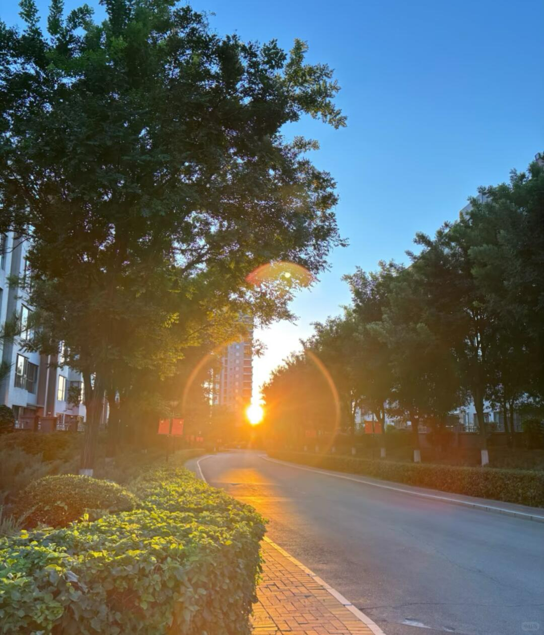 真正通透的聪明人，懂得算总账、预判半生代价。 ​​​