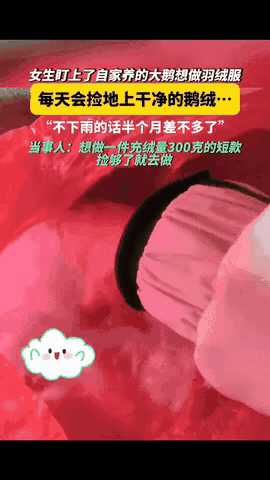 别再用“爱情童话”骗自己了！北京独生女小玲的遭遇，撕开了一个扎心真相：摧毁女孩的