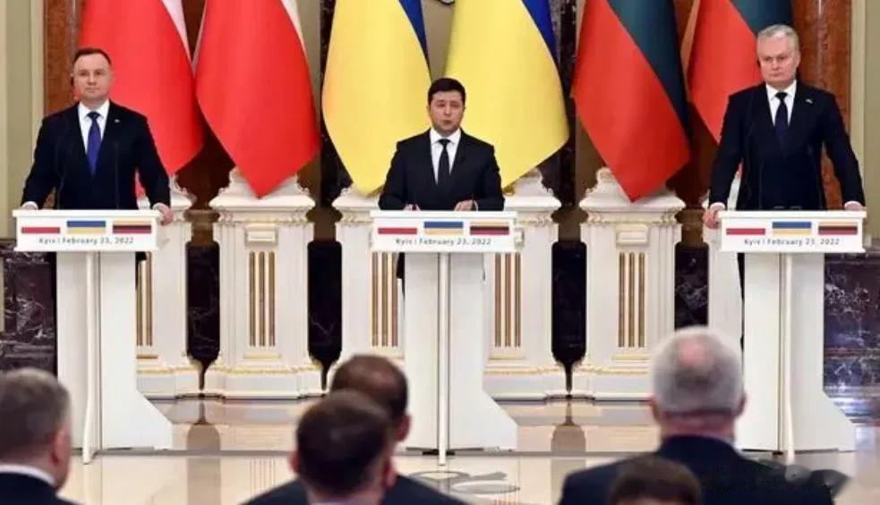 美国释放“危险信号”，泽连斯基忧心忡忡！

来源:海峡快讯

乌克兰在俄乌冲突中