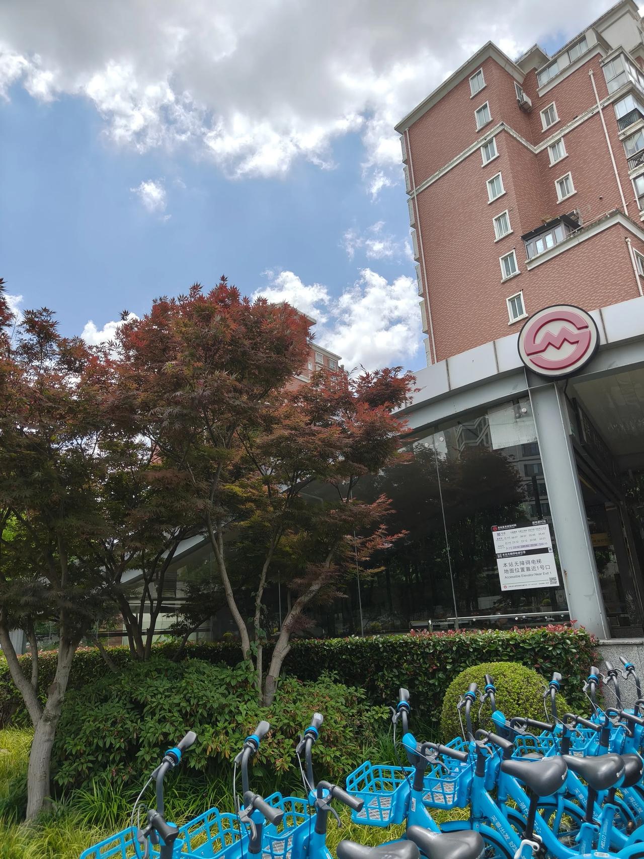 今天天气不错！云彩特别好看👀
出门喽～🌸🌸🌸🌸🌸🌸🌸🌸