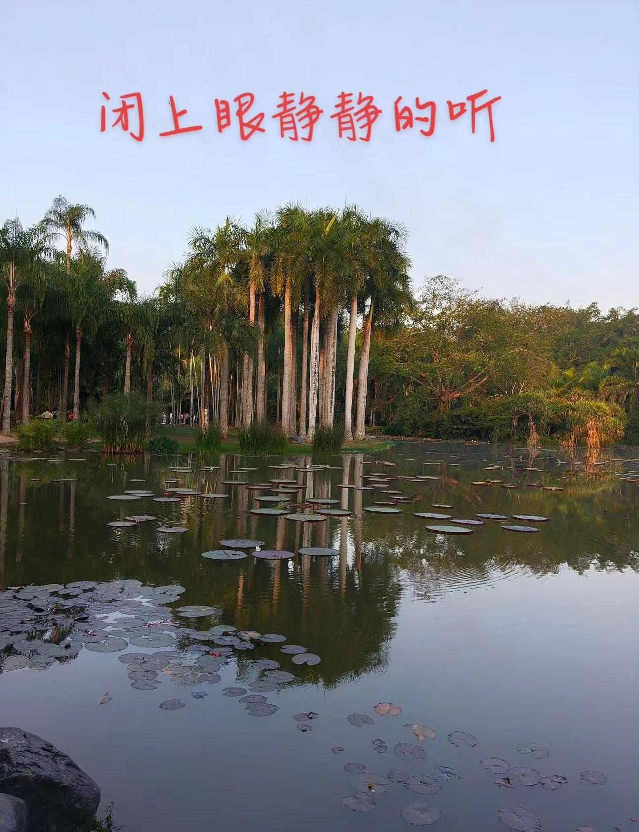 人到中年不再追求浮华、内心安宁、能睡个好觉，何不是一种富足。