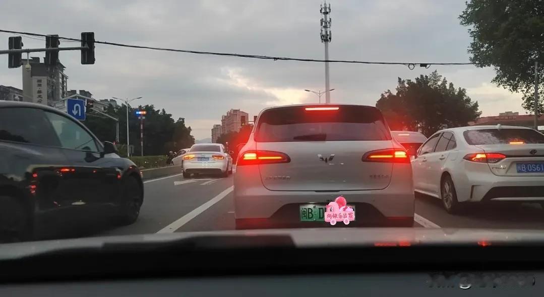  给大果子选一个什么车牌号好，感觉真的有点纠结。
	
网上也介绍了选号的技巧，比