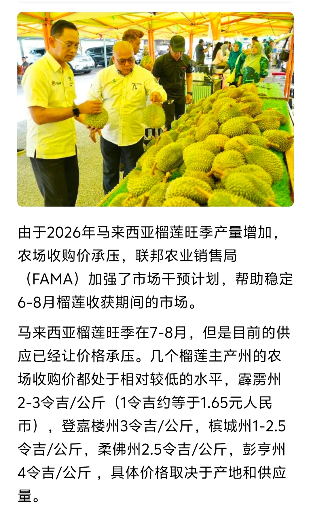 马来西亚榴莲大丰收，榴莲收购价最低的已经低到1—2元一斤了。羡慕啊！ 