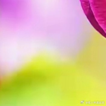 你对生活多用心，生活就会对你多偏爱。不跟人比高低，不向人吐苦水，不跟事钻牛角尖，