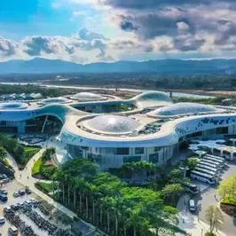 海南封关首月，日媒不想看到的事发生了！
日本免税业遭遇重击，曾经把中国游客当“摇