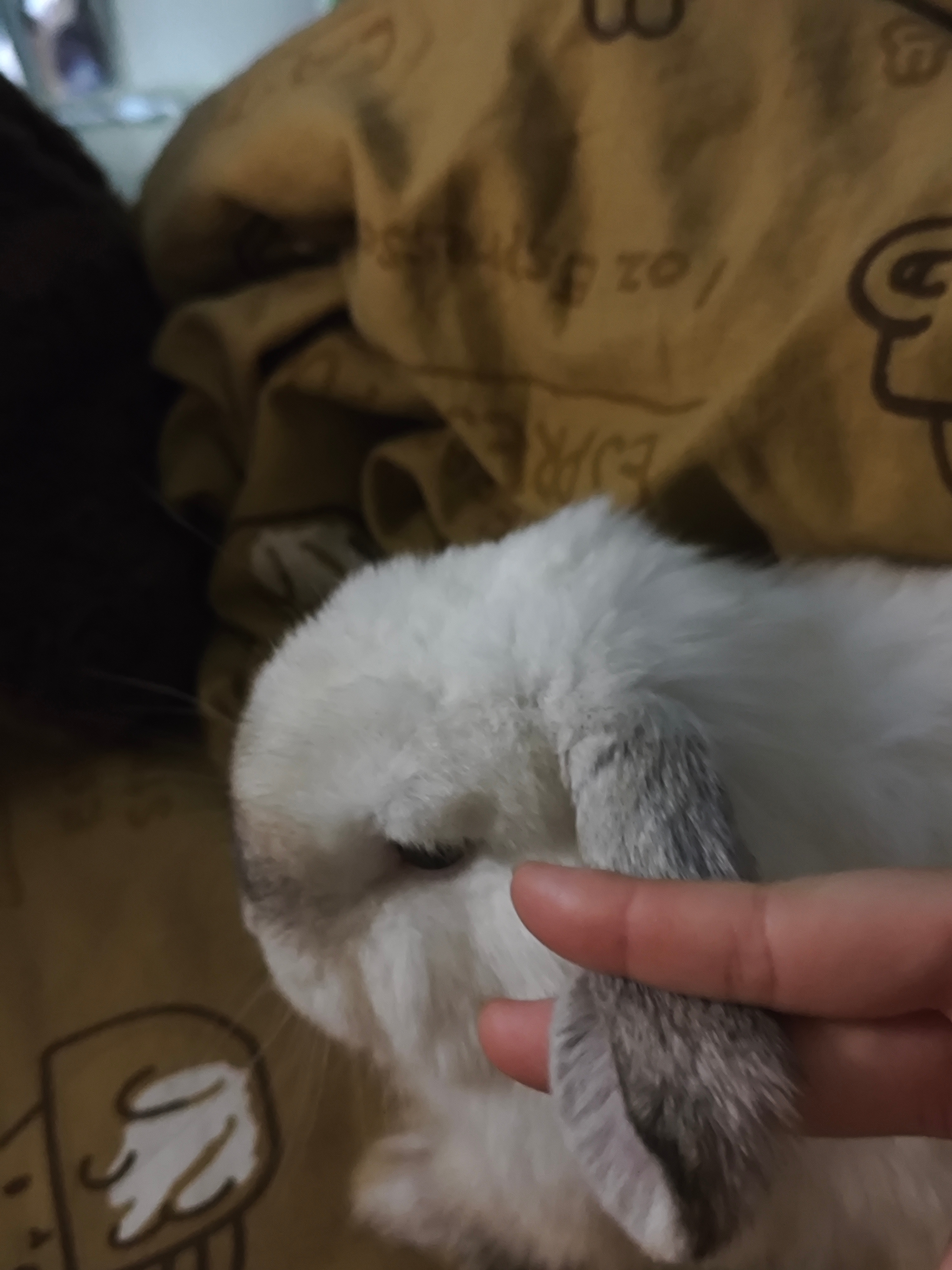 太可爱了，宝宝你是一块大面包😚😚😚😚 