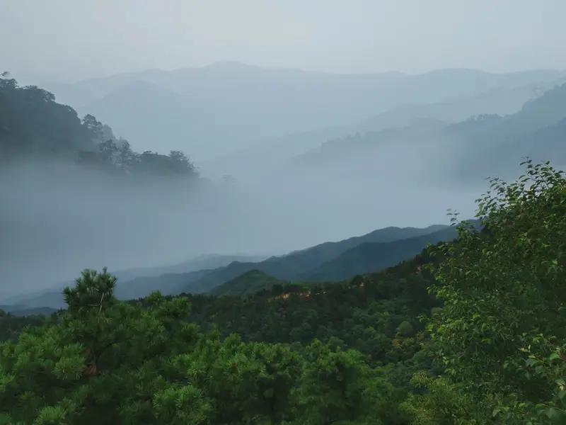 看到“绿叶重重美”这个上联，瞬间感觉扑面而来一股清新自然的气息。有人对“红花朵朵