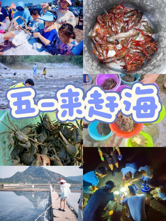 五一遛娃好去处｜小众海岛赶海抓螃蟹跳跳鱼