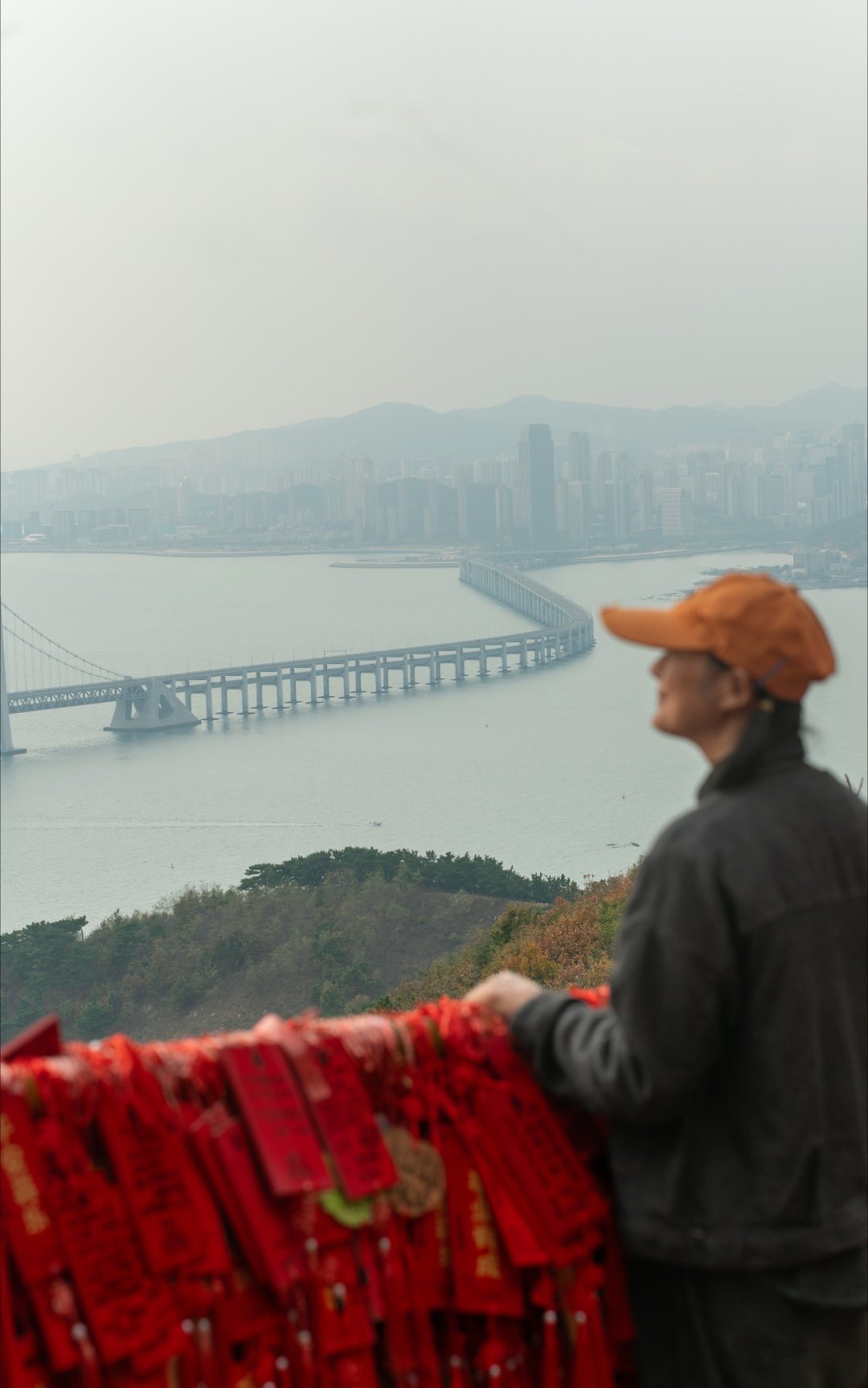 *在路上*莲花山观景台...步行上山，遇到好几只野生梅花鹿，又是被游人宠溺的，稍