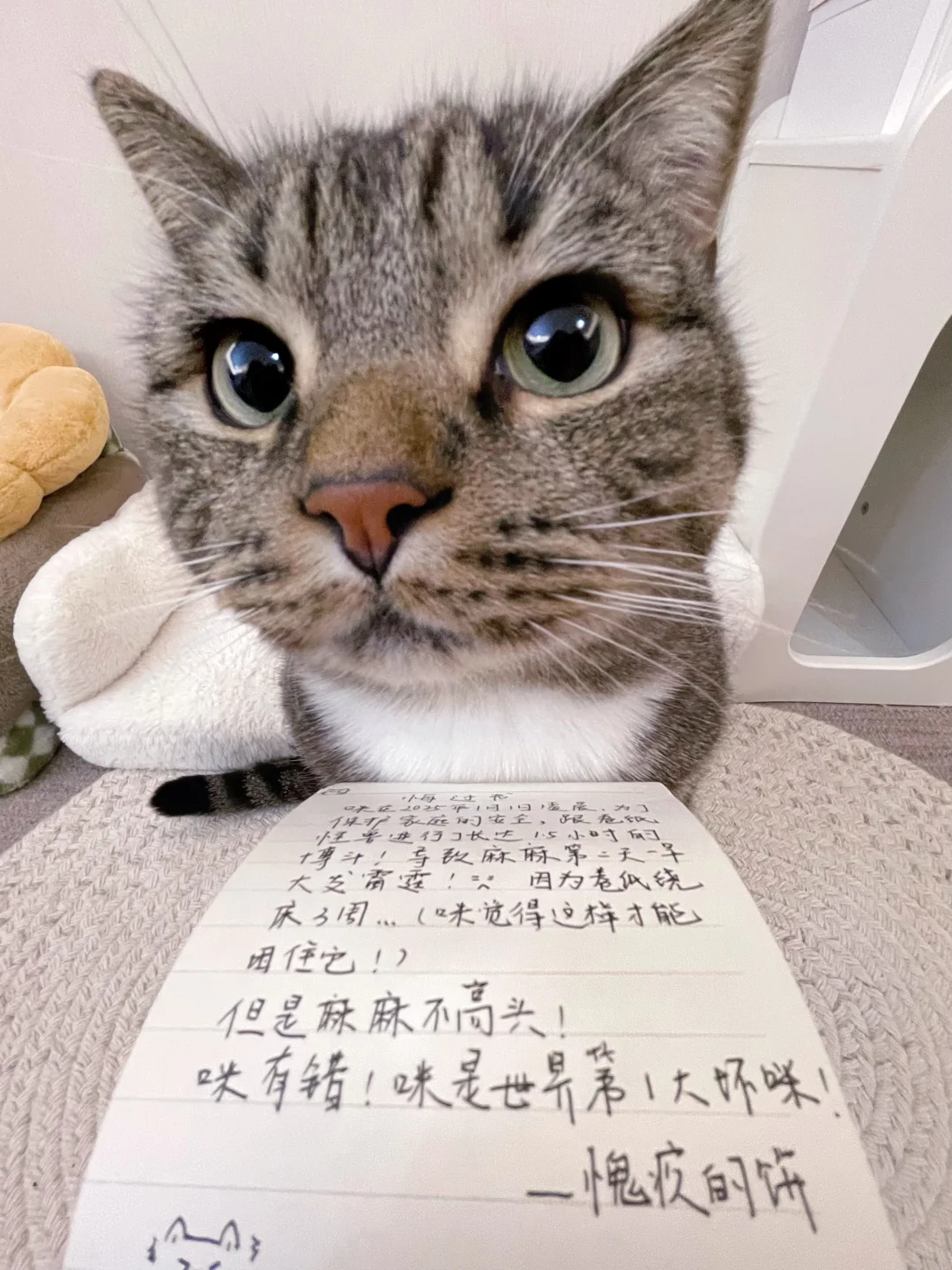 人、请接受咪的悔过书！！！