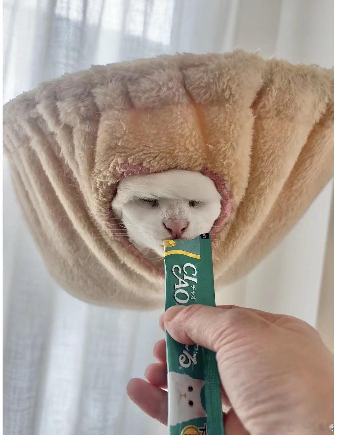 卧槽鸣上悠 ​​​