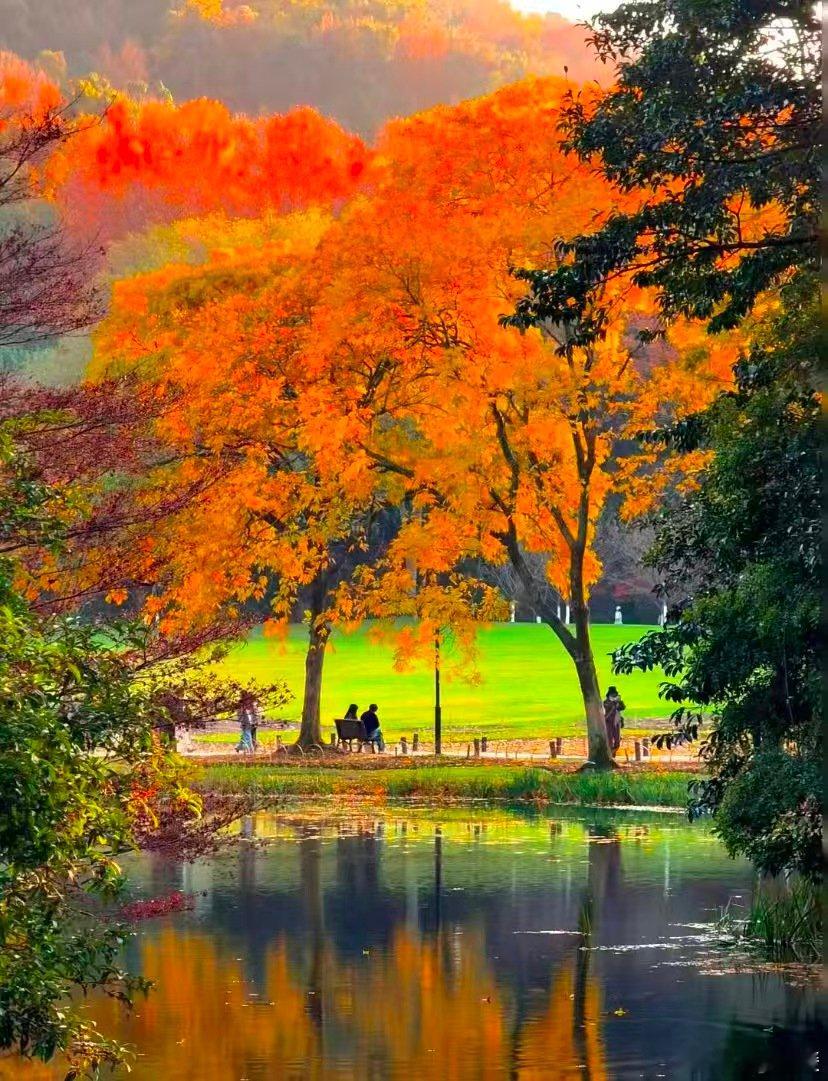 杭州橱窗里的装满了江南诗意冬日杭州不一般。江南诗意没被时光冲淡，全藏在橱窗里。孩