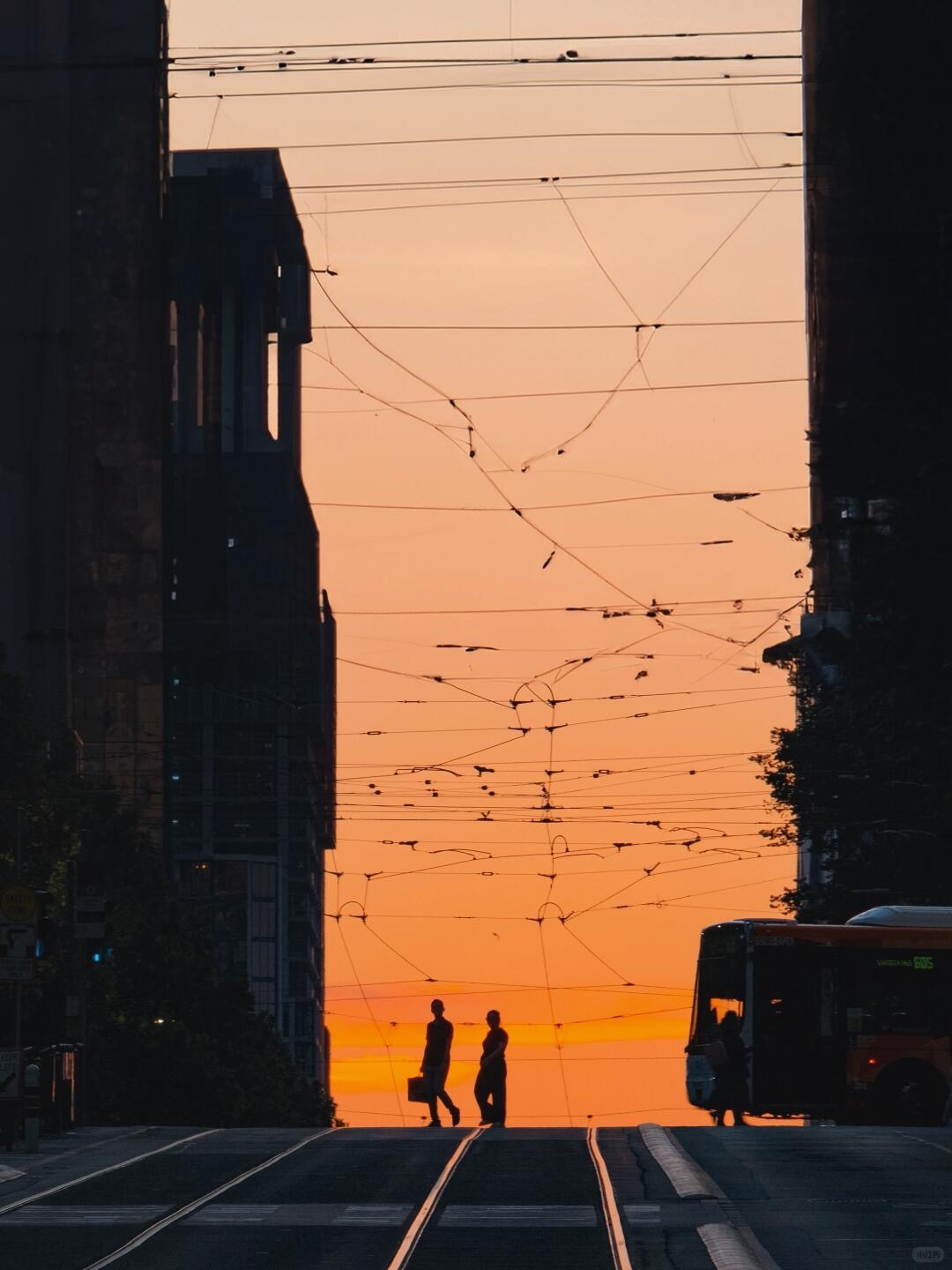 大路从容，小路开心。永远有勇气对岔路好奇。丨七堇年 我的私人宝藏书单 书评