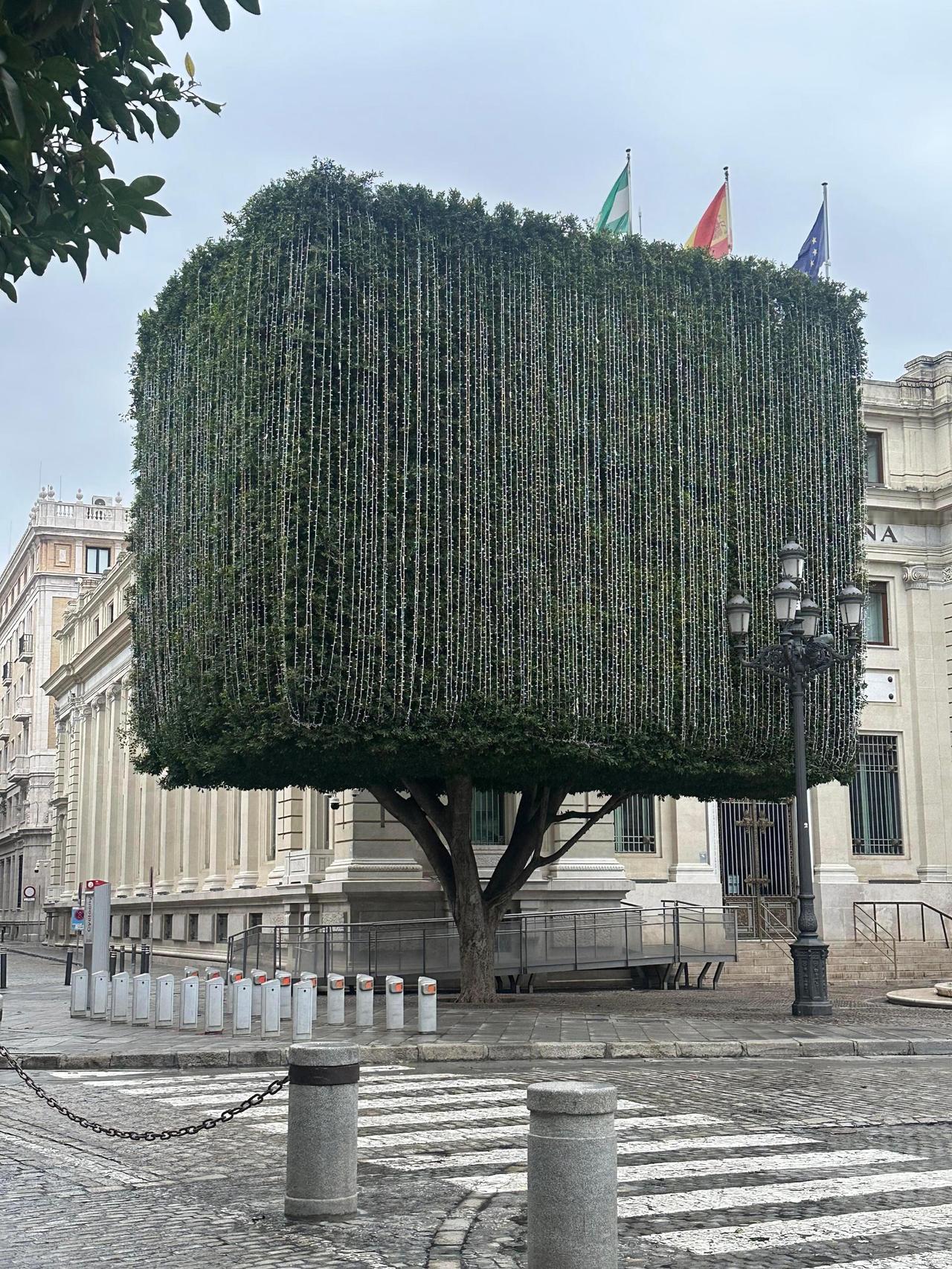 居然修的这么整齐